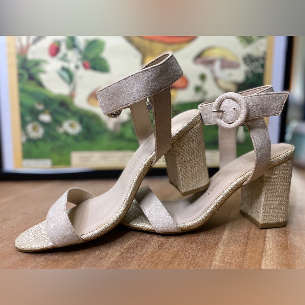 Chinese Laundry Los Angeles Chunky Heels with Ankle Strap and Buckle Size: 7.5